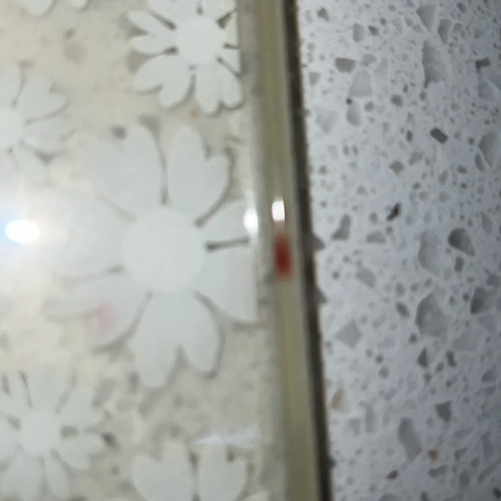 Plastic sees through daisy flowers fits iPhone 11